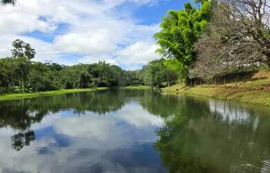 Imagem: Fazenda Zona Rural Cidade de Catalão Go - toda mobiliada