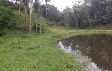 Imagem 15: 1 hectare Paulista 3 lagos mais pocilga 174 mil reais
