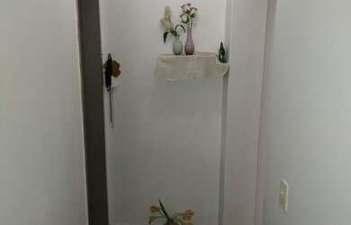 Imagem 10: Vendo duas casas com terreno grande na zona sul