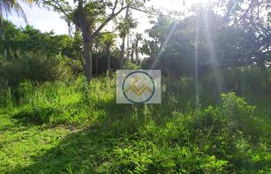 Imagem 11: Chácara à venda com 09 tarefas - Itaporanga D x27 Ajuda/SE