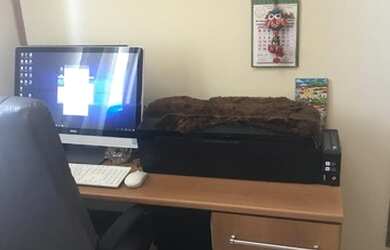 Imagem 11: APARTAMENTO RESIDENCIAL em SÃO PAULO - SP, LAUZANE PAULISTA