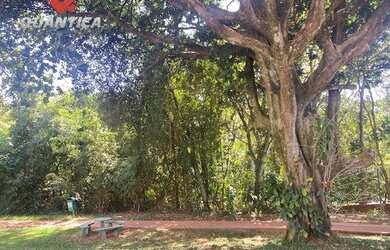 Imagem 7: CASA RESIDENCIAL em GOIÂNIA - GO, JARDINS ATENAS