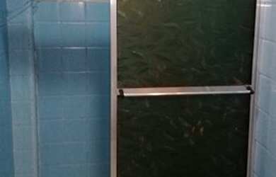 Imagem 16: Apartamento para aluguel e venda i 91 metros Jardim Paulista - São Paulo - SP