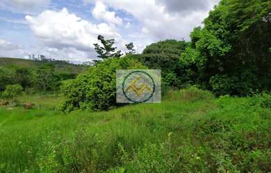 Imagem 9: Chácara à venda COM 8,5 tarefas no Sapé - Itaporanga D x27 Ajuda/SE