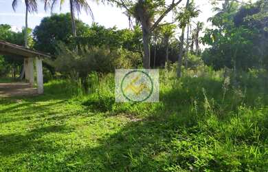 Imagem 7: Chácara à venda com 09 tarefas - Itaporanga D x27 Ajuda/SE