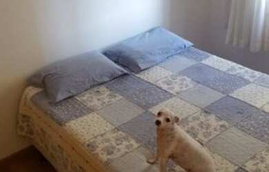 Imagem 6: Lindo Apartamento na Região do Jaçanã