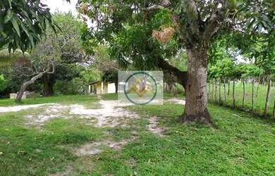 Imagem 3: Chácara à venda COM 8,5 tarefas no Sapé - Itaporanga D x27 Ajuda/SE