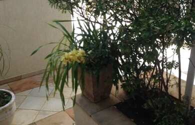 Imagem 12: PACAEMBU / ALTO PADRÃO