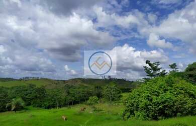 Imagem 15: Chácara à venda COM 8,5 tarefas no Sapé - Itaporanga D x27 Ajuda/SE