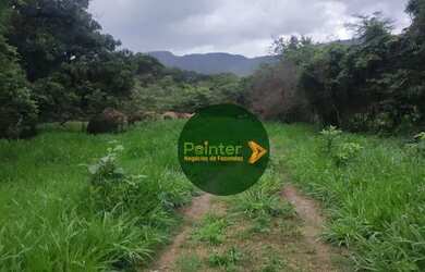 Imagem 9: Fazenda à venda, 522 hectares por R$ 10.800.000 - Zona Rural - Niquelândia/GO