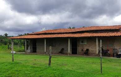 Imagem: A fazenda está localizado em Centro, Caxias à venda por R$750.000