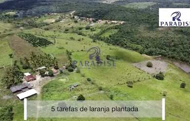 Imagem 16: Fazenda, Centro, Cardeal da Silva - R$ 2.3 mi, Cod: 68684