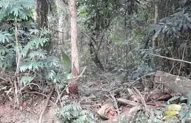 Imagem: O terreno possui 978m² de Área e está localizado em Roseira