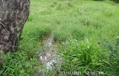 Imagem 1: 2166/Ótima fazenda de 260 ha em Além Paraíba MG