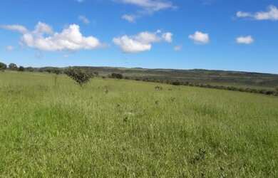 Imagem: A fazenda e está localizado em Água Fria de Goiás, GO à