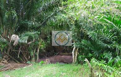 Imagem 5: Chácara à venda COM 8,5 tarefas no Sapé - Itaporanga D x27 Ajuda/SE