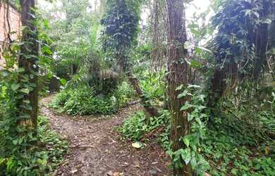 Imagem: O terreno e está localizado em Boiçucanga, São Sebastião