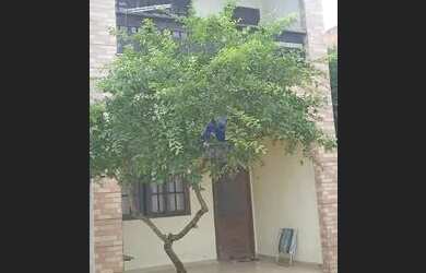 Imagem 5: Casa para venda e locação, Sepetiba, Rio de Janeiro, RJ