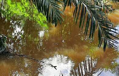 Imagem: A fazenda possui 48m² de Área e está localizado em Nazaré
