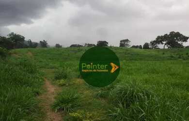 Imagem 12: Fazenda à venda, 522 hectares por R$ 10.800.000 - Zona Rural - Niquelândia/GO