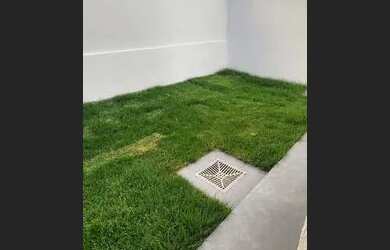 Imagem: A casa em condomínio possui 3 Dormitórios, 2 Banheiros, 2