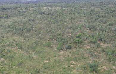 Imagem 4: FAZENDA PRA LARANJA COM 7.000HECTARES, BARATA