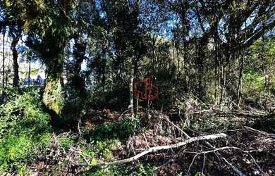 Imagem 7: Terreno à Venda em Gramado