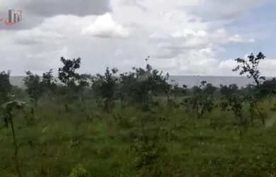 Imagem 12: Fazenda para Venda em Centro Chapada Gaúcha-MG