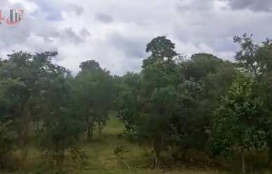 Imagem 2: Fazenda para Venda em Centro Chapada Gaúcha-MG