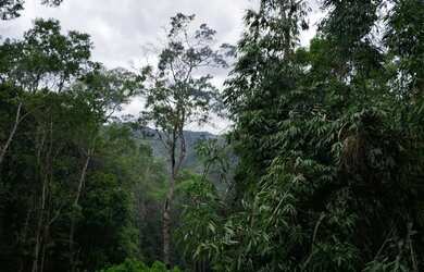 Imagem 12: 137 mil reais 2 casas luz ligada 43 mil de entrada 1600 por mes