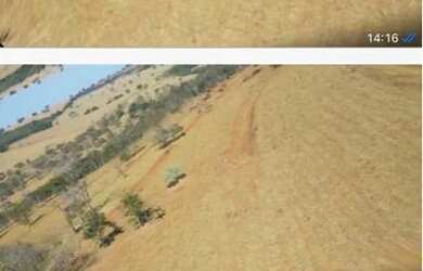 Imagem: A fazenda está localizado em Uberlândia, MG à venda por