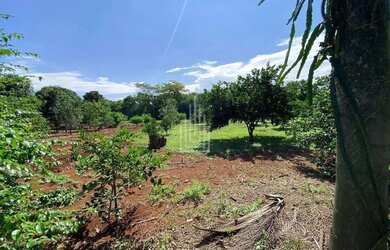 Imagem 9: AREA À VENDA EM SANTA TEREZINHA - PR