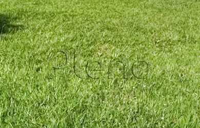 Imagem 2: Terreno à venda em Indaiatuba, Jardim Reserva Bom Viver de Indaiatuba,...