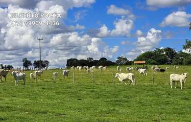 Imagem: A fazenda possui 4840000m² de Área e está localizado em Araguapaz