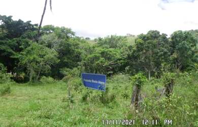 Imagem 9: 2166/Ótima fazenda de 260 ha em Além Paraíba MG
