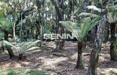 Imagem: O terreno possui 1.110m² de Área e está localizado em Gramado