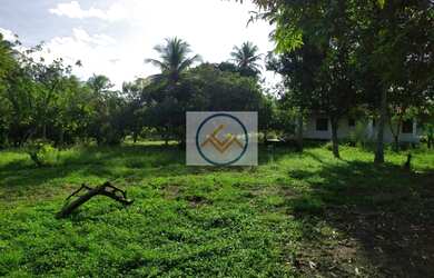 Imagem 8: Chácara à venda com 09 tarefas - Itaporanga D x27 Ajuda/SE