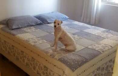 Imagem 9: Lindo Apartamento na Região do Jaçanã