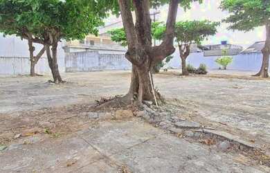 Imagem 4: Terreno para aluguel, Tambauzinho, João Pessoa - 12286