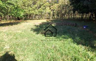 Imagem 14: Sítio à venda, 7 alqueires paulistas por R$ 1.680.000, 4 mil árvores...