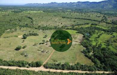 Imagem 1: Fazenda à venda, 522 hectares por R$ 10.800.000 - Zona Rural - Niquelândia/GO