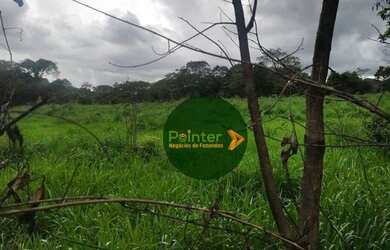 Imagem 11: Fazenda à venda, 522 hectares por R$ 10.800.000 - Zona Rural - Niquelândia/GO
