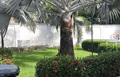 Imagem 11: Alugo Excelente Apartamento no Dunas do Litoral Térreo com 2 Giardinos