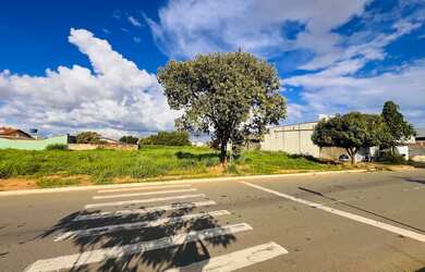 Imagem 9: LOTE COMERCIAL NA AVENIDA BRASIL 407 m² NO JARDIM BURITI SERENO