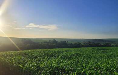 Imagem 2: Chacara, área de terra, sítio em Cafelândia