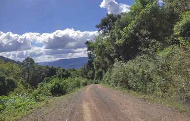 Imagem 6: Sítio / Chácara para Venda em Nova Petrópolis, Stille Eck