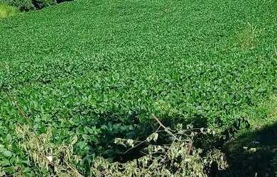 Imagem: A chácara possui 4.000.000m² de Área e está localizado