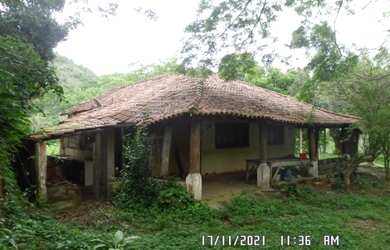Imagem 7: 2166/Ótima fazenda de 260 ha em Além Paraíba MG