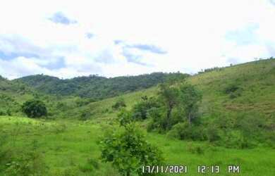 Imagem 8: 2166/Ótima fazenda de 260 ha em Além Paraíba MG