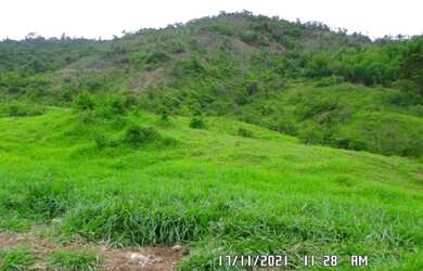 Imagem 3: 2166/Ótima fazenda de 260 ha em Além Paraíba MG